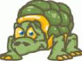 VSH000032 Cartoon Animal Turtle