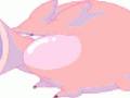 VSH000024 Cartoon Animal Pig Run