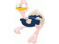 VSH000022 Cartoon Animal Ostrich