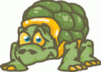 VSH000032 Cartoon Animal Turtle