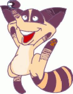 VSH000025 Cartoon Animal Racoon Joy