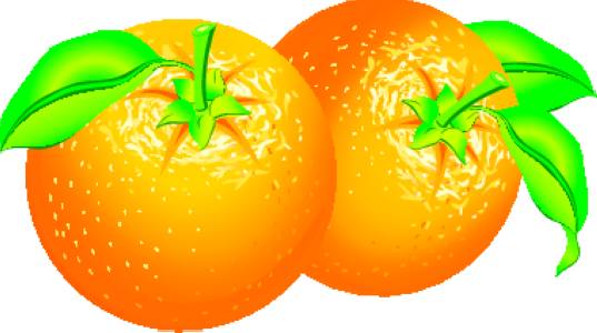 VSH000143 Food Fruit Oranges
