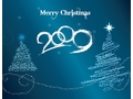 VSH001239Cristmas New Year Новый Год Праздник Holiday Fir Tree Елка