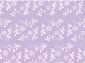 VSH000367Background Flower Фон Цветок Цветы Lilac Сиреневый