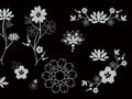 VSH000754Орнамент Ornament Flower Цветок Pattern Узор