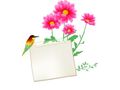 VSH000644Flower Цветок Цветы Frame Рамка Bird Птица